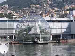 صور Aquarium of Genoa ألحيوَانَات